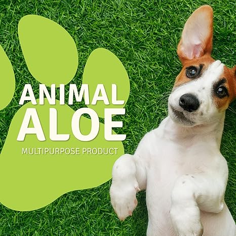 Animal Aloe
