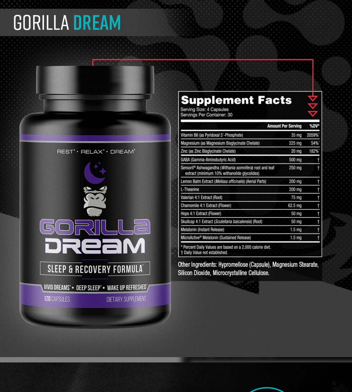 Gorilla Mind Dream
