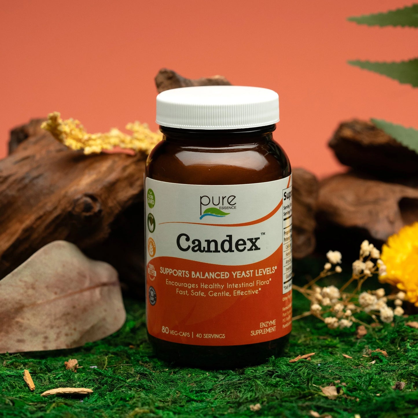 Candex