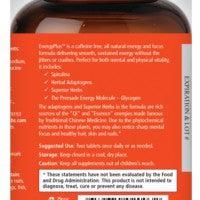 EnergyPlus