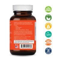 EnergyPlus