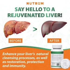 Liver