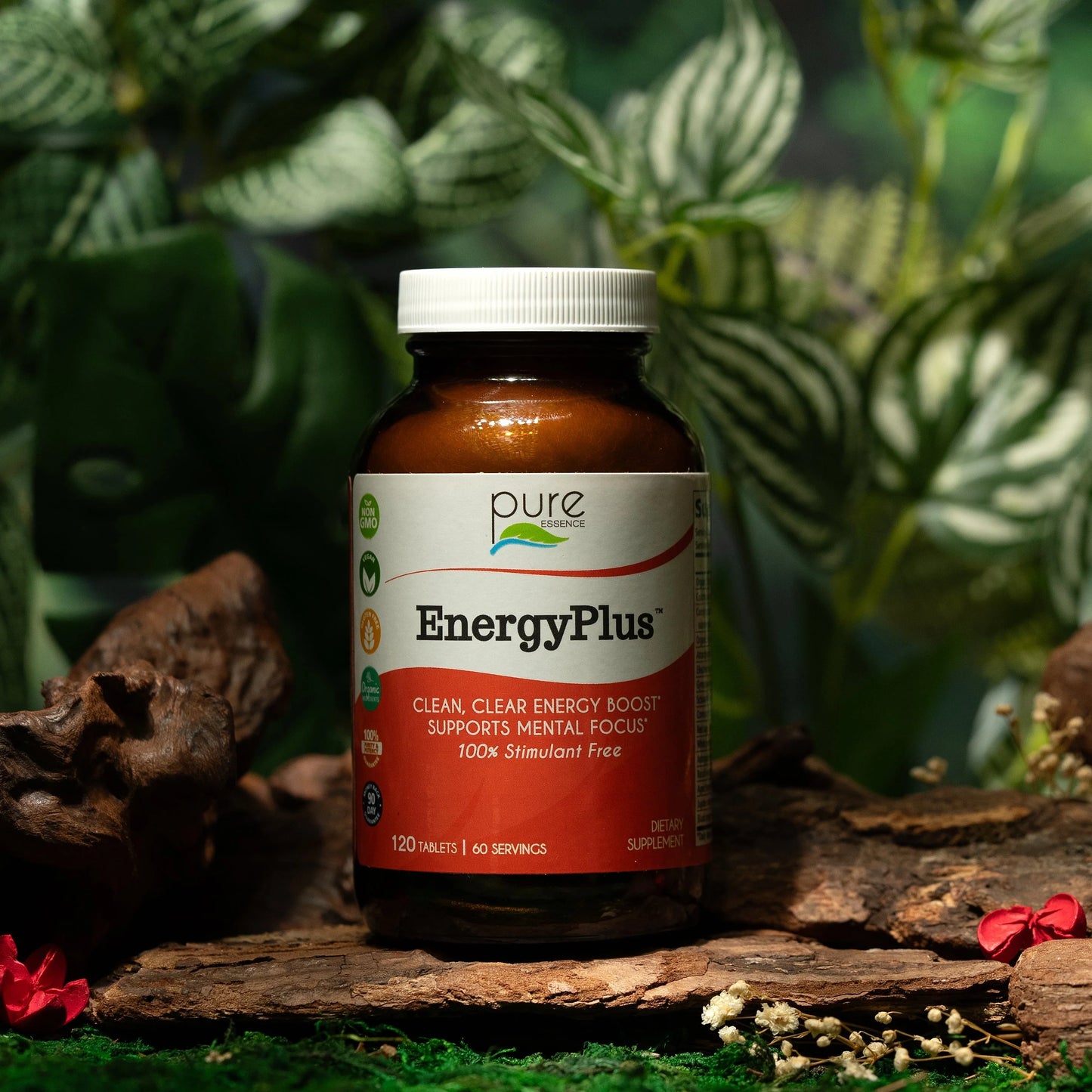 EnergyPlus