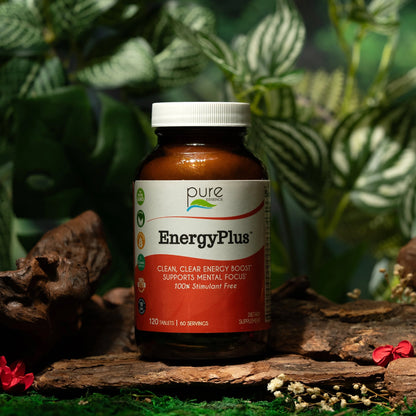 EnergyPlus